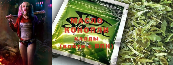 гидра Переславль-Залесский