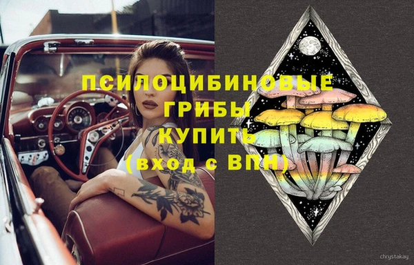 мяу мяу мука Бугульма