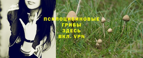 крисы Верхнеуральск