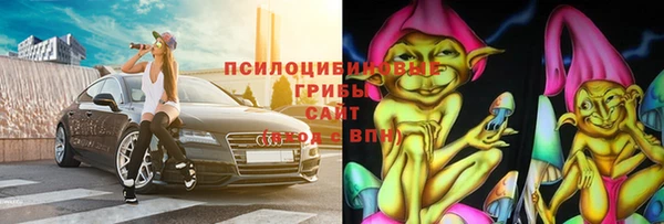 МДПВ Богданович