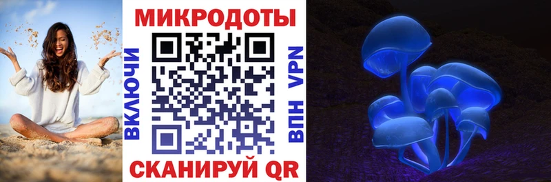 мега маркетплейс  где можно купить наркотик  сайты даркнета официальный сайт  Галлюциногенные грибы Cubensis  Старица 